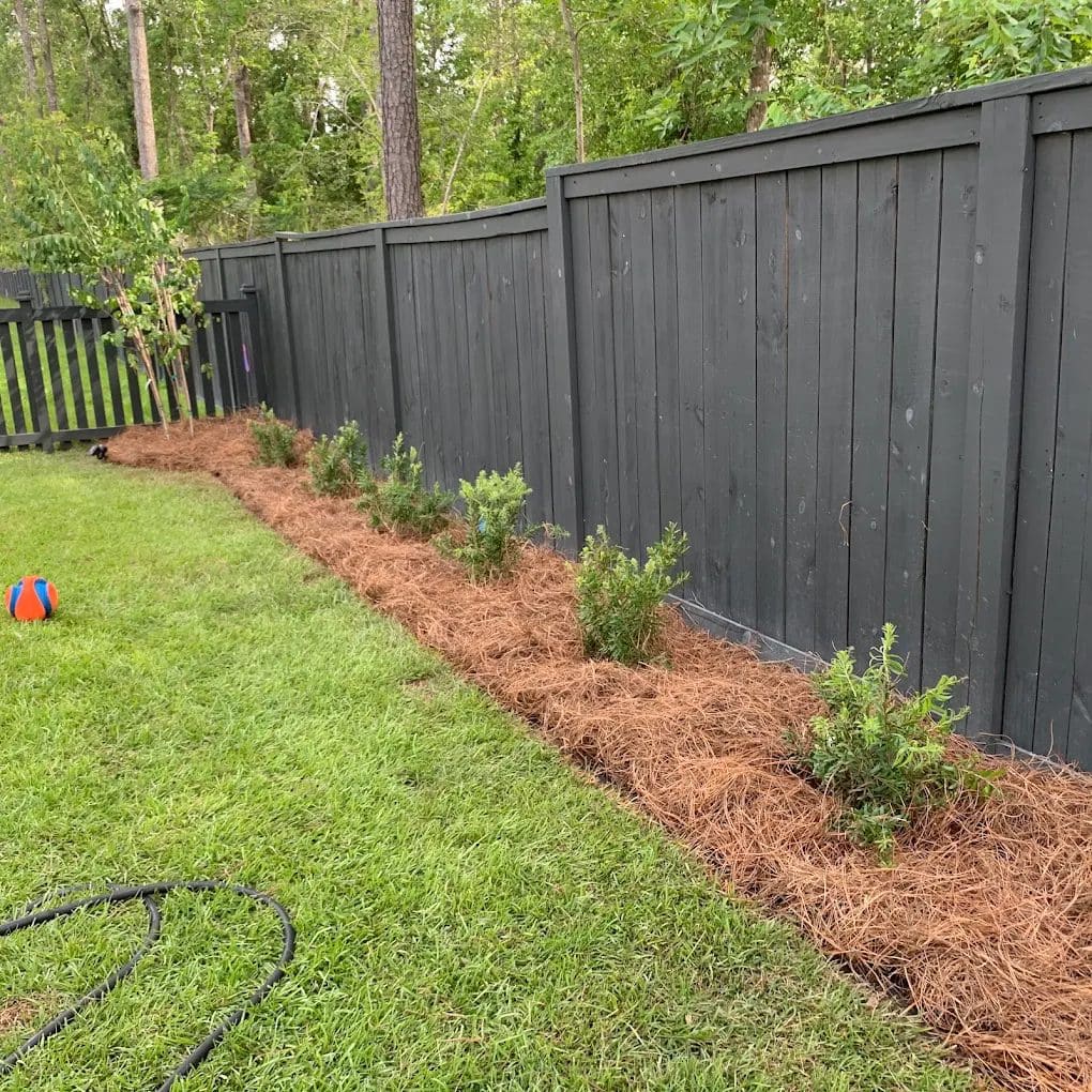 Black vinyl fence with mulch landscaping and shrub plantings along residential yard