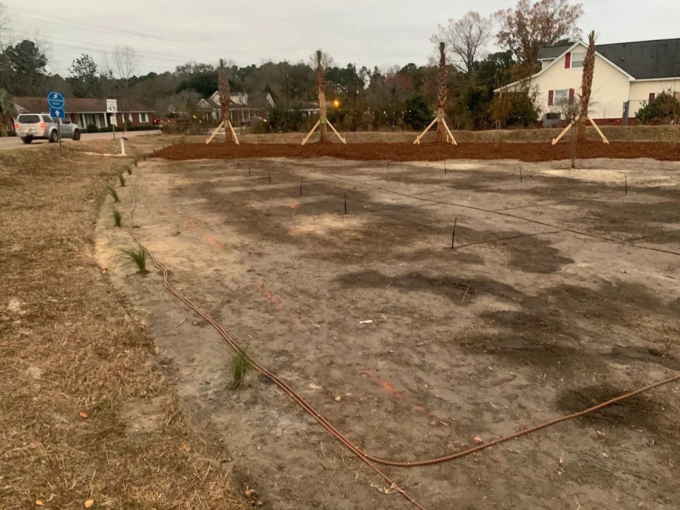 Construction site with planted trees and irrigation lines in residential area