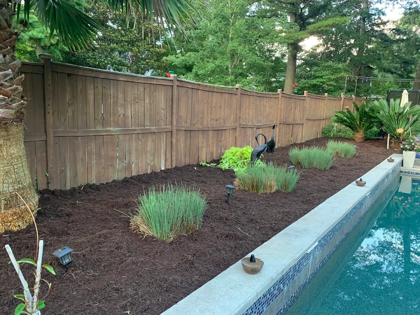 Backyard landscaping with dark mulch, ornamental grasses, and wooden fence beside swimming pool
